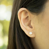 Golden Halo Pearl Studs